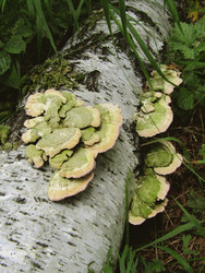 Similar image 22222397