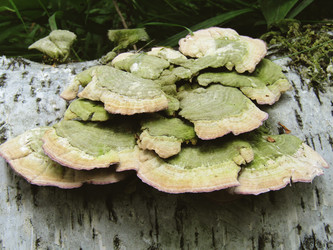 Similar image 22222398