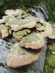 Similar image 22222399