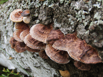 Similar image 22222401