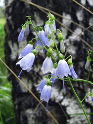 Similar image 22222915