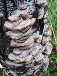 Similar image 22222402