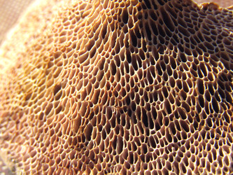 Similar image 22222403