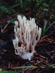 Similar image 22222404