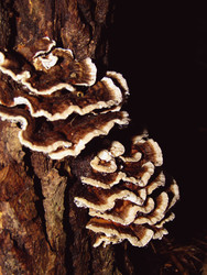 Similar image 22222405