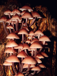 Similar image 22222409