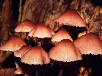 Similar image 22222410