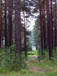 Similar image 22224092