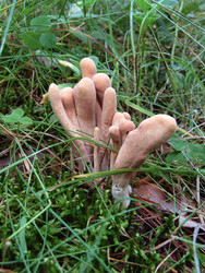 Similar image 22222411