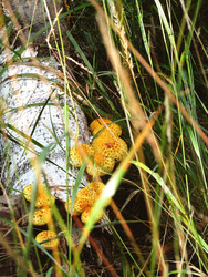 Similar image 22222916