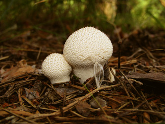 Similar image 22222412