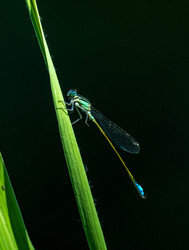 Similar image 22224310