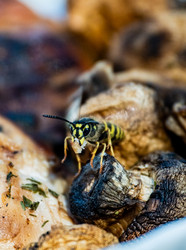 Similar image 22224311