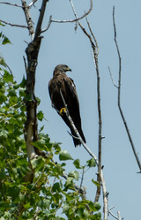 Similar image 22224312