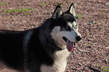 Similar image 22224682