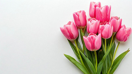 Similar image 22224684