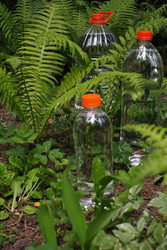 Similar image 22230057