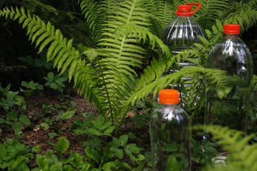 Similar image 22230058