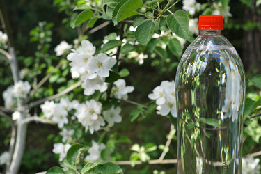 Similar image 22230062