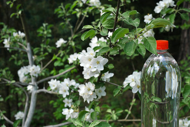 Similar image 22230063