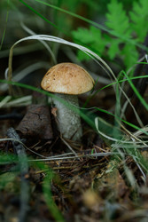 Similar image 22211567