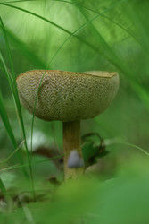 Similar image 22211568