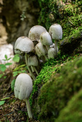 Similar image 22211569