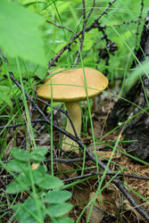 Similar image 22211570