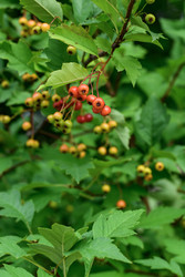 Similar image 22211571