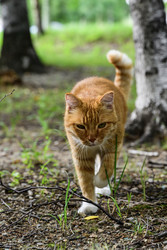 Similar image 22211573