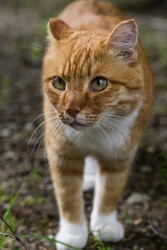 Similar image 22211575