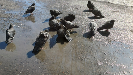 Similar image 22222156