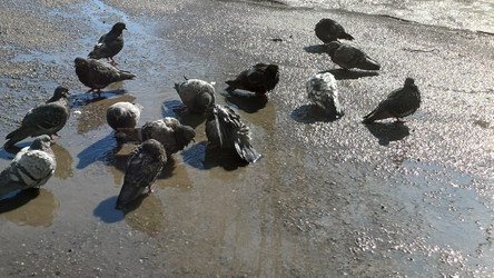 Similar image 22222157