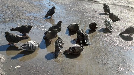 Similar image 22222158