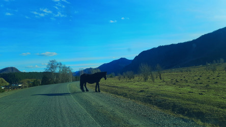 Similar image 22222416