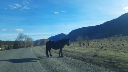 Similar image 22222417