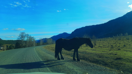 Similar image 22222418