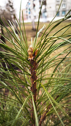 Similar image 22222420