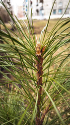 Similar image 22222421