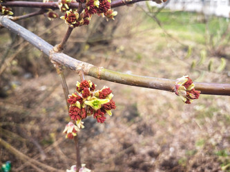 Similar image 22222422