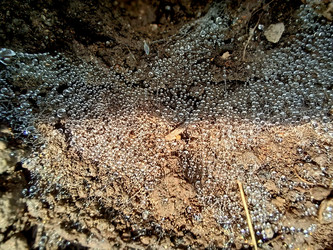 Similar image 22222164