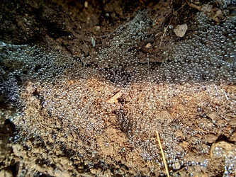 Similar image 22222165