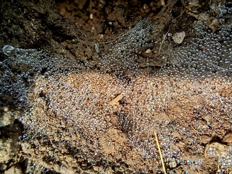 Similar image 22222166