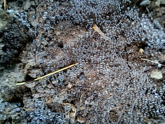 Similar image 22222167