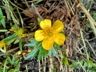 Similar image 22222168