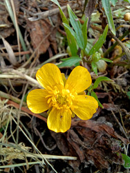 Similar image 22222169