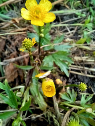 Similar image 22222171