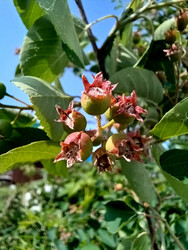 Similar image 22222172