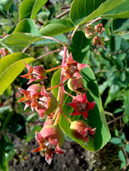 Similar image 22222173