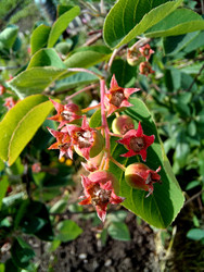 Similar image 22222174